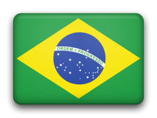 Brazil fancy flag 320x240